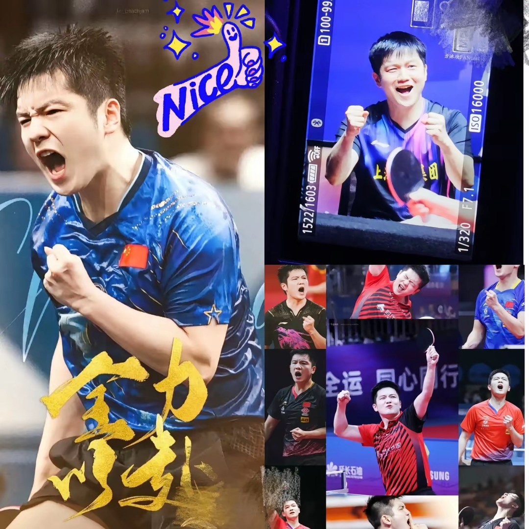 法国队横扫波兰队,樊振东关键制胜 法国队横扫波兰队,樊振东关键制胜