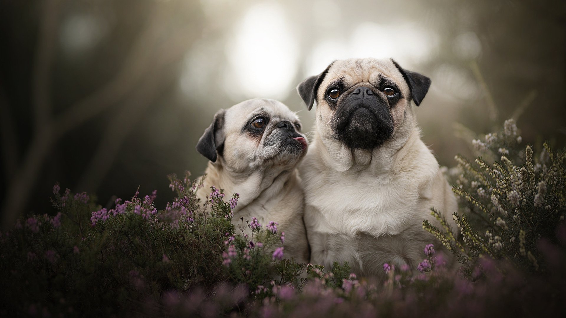 爱游戏官方-铁血红土铸就唯一性，西西帕斯法网绝杀背后的红土哲学