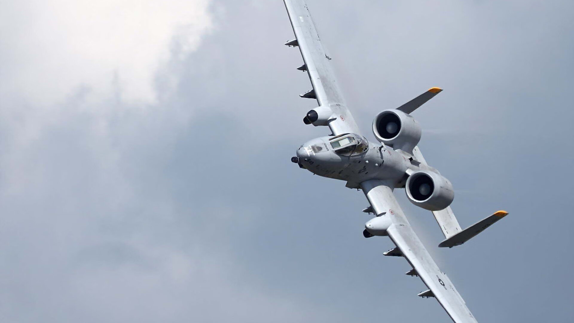 美网力克戴维斯杯，纳达尔统治全场，个人荣耀闪耀纽约