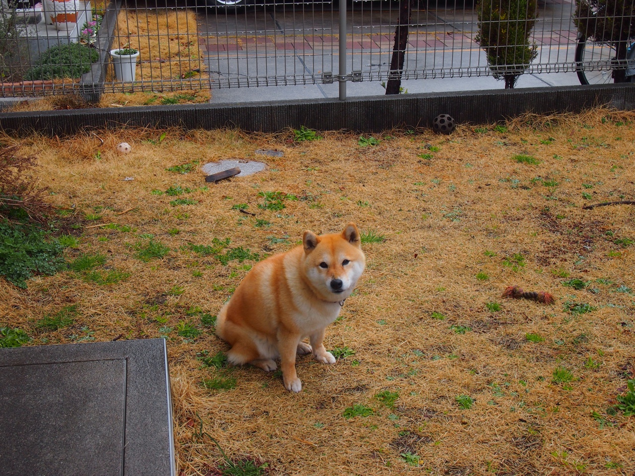 棋手与绿茵，文班亚马节奏哲学下的英超争冠夜