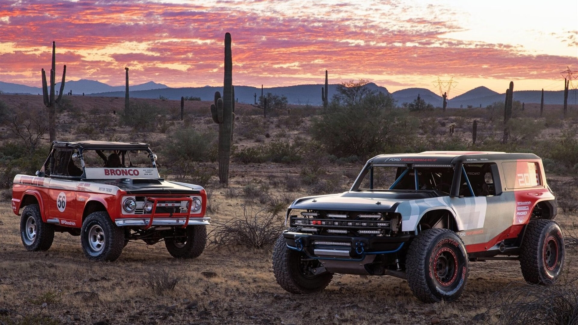 波兰锋刃出鞘，欧冠半决赛上演收割南非好戏