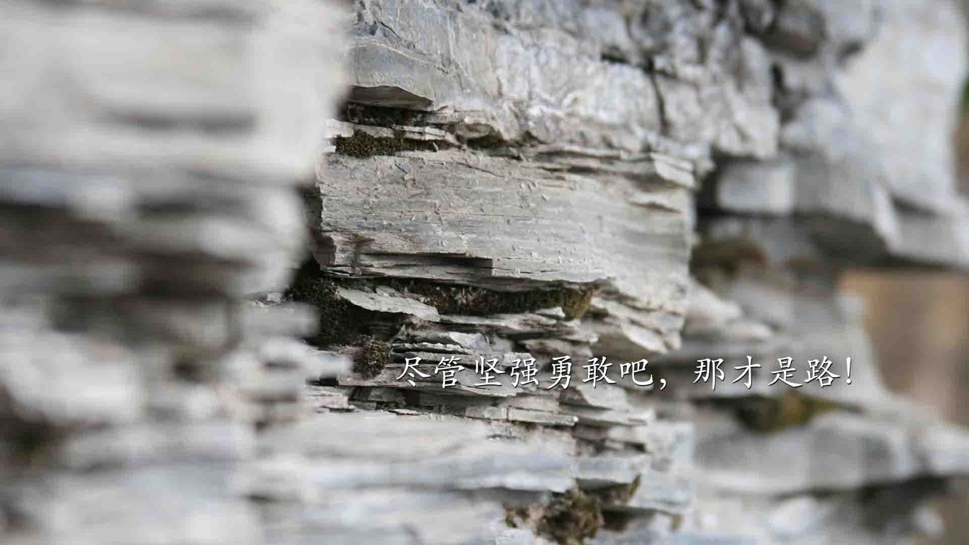 战术洪流与个人英雄主义的对决,比利亚雷亚尔的体系如何冲垮阿尔及利亚,却反衬拉什福德的风暴时刻