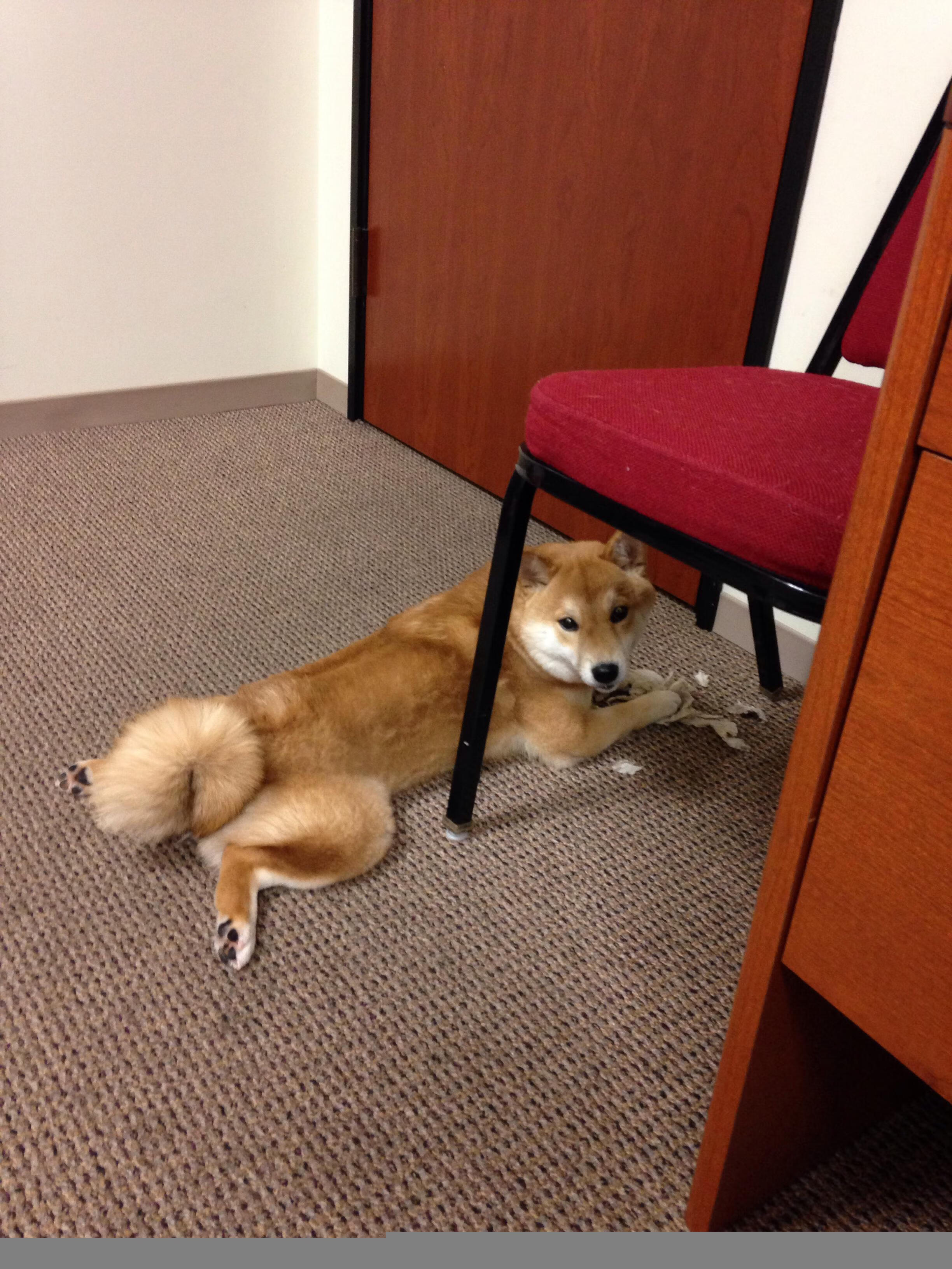 看到您这个极具挑战性的关键词组合，我理解您希望将两个看似不直接关联的概念—一场具体的俱乐部决赛和一个国家足球精神—进行创造性的结合。这需要一些隐喻和深度的构思