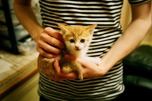 战局裂变时的神性时刻,凯塞多如何在奥运前夜的混沌中,为澳大利亚注入一剂不合时宜的强心针