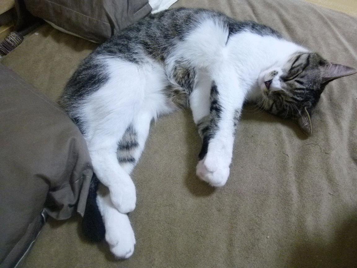 燃烧的魂与精致的形,热火抢七战淘汰篮网启示录