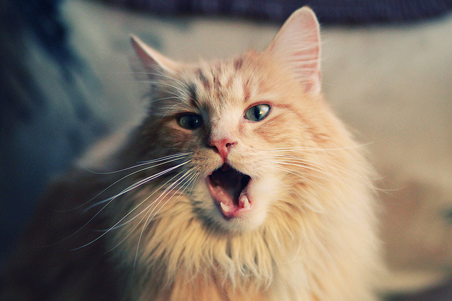 跨界决胜局，当NBA式绝杀在国家舞台上上演