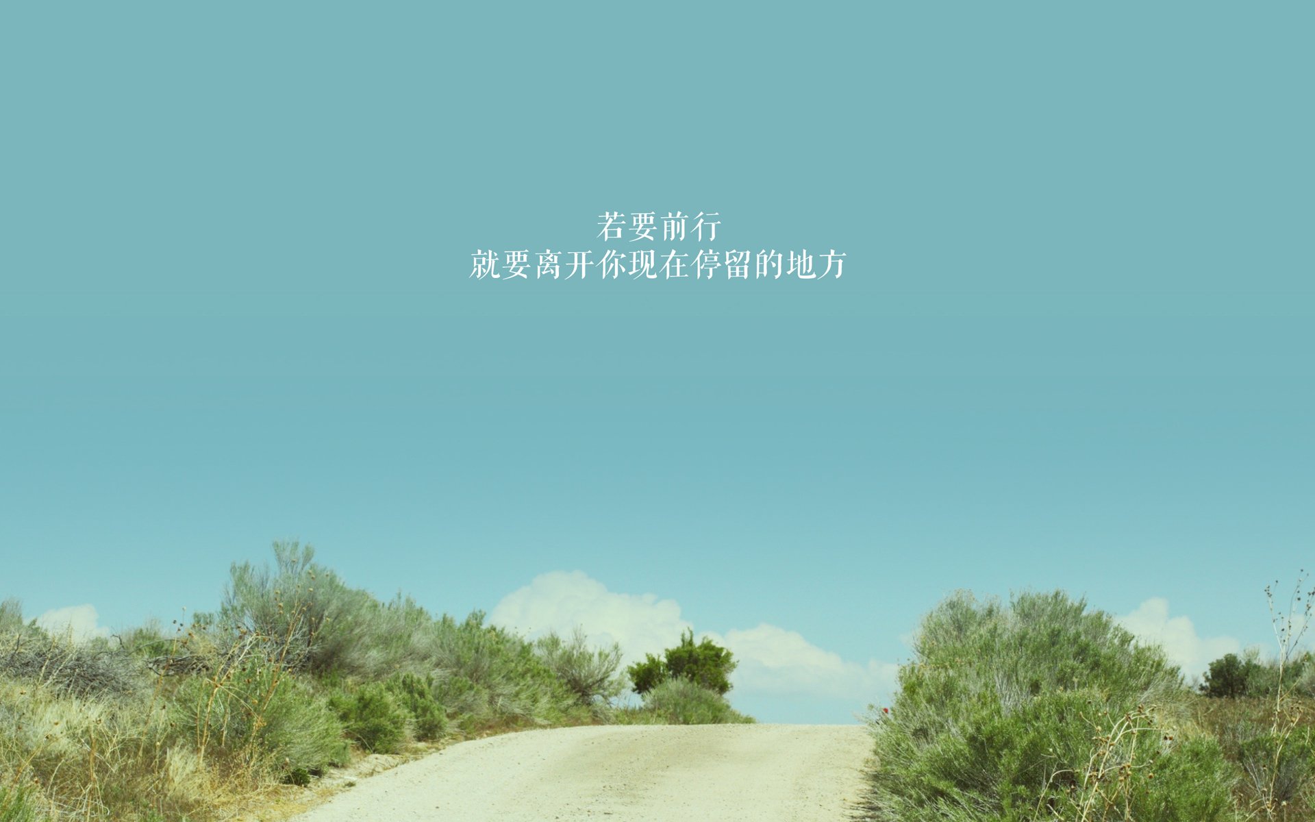 东决焦点战,篮网关键胜利击败奇才,争冠势头强劲