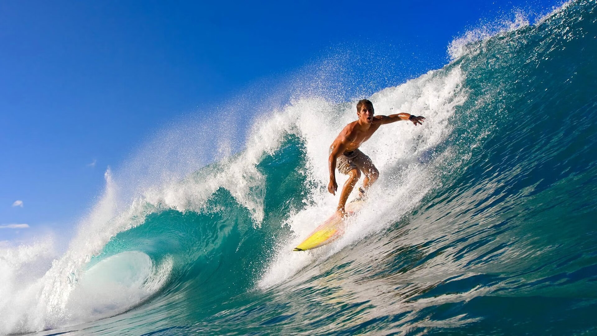 拟定的文章标题