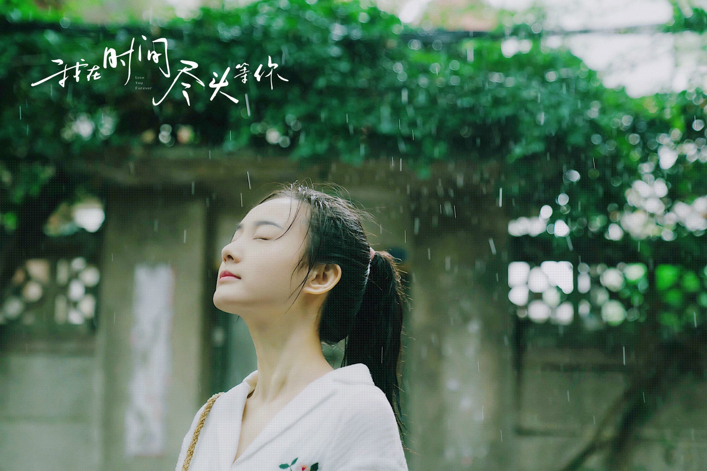 双城记,赛道上的年度争冠与球场上的国王降临—当F1终局悬念遇上萨克拉门托的碾压之夜