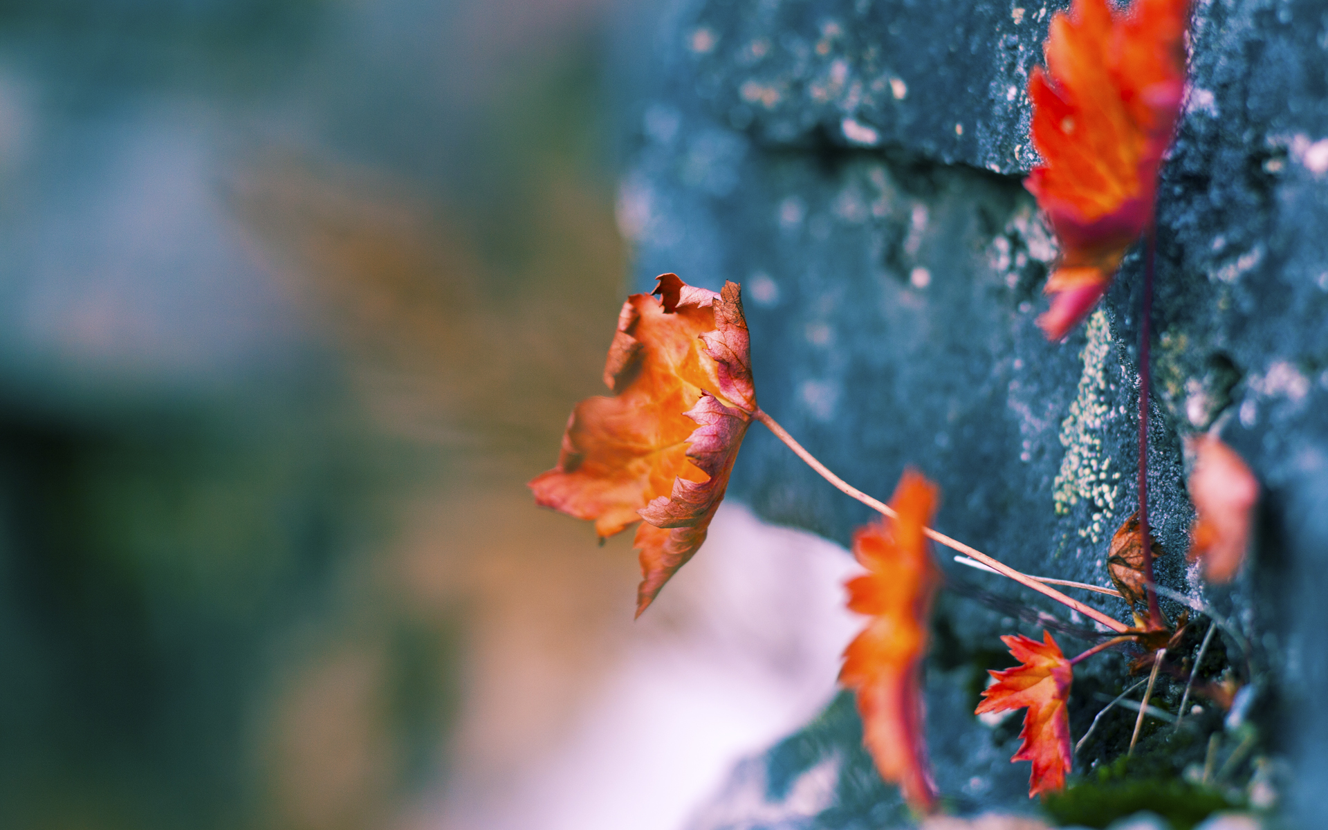 跨界救赎，卡塞米罗的总决赛之夜